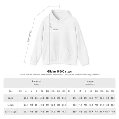 minimalist hooded sweatshirt - EtherealPlot